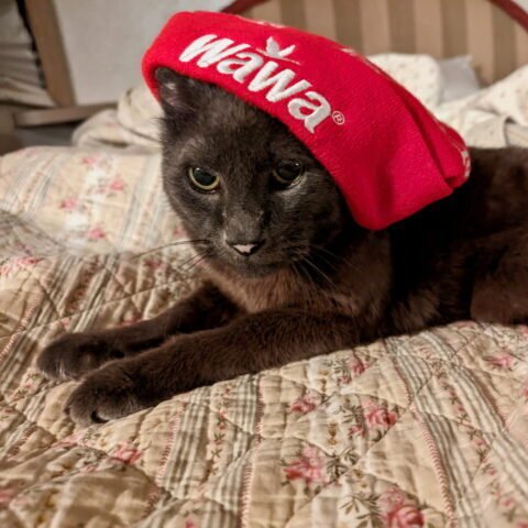 Good Friends are Hard to Find